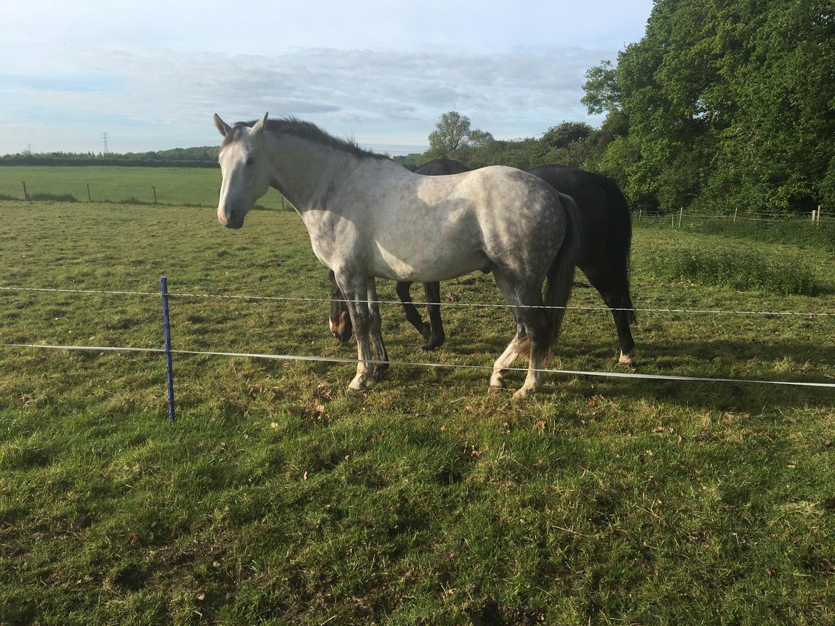 Bridleway Bed & Breakfast Hackthorn 외부 사진